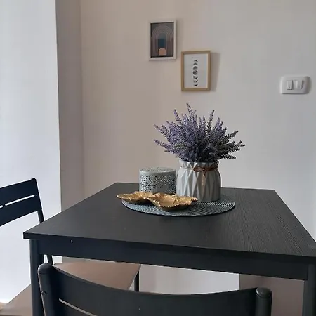 Apartment Zara
